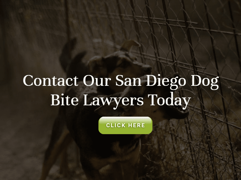 San Diego Dog Bite Injury Attorney