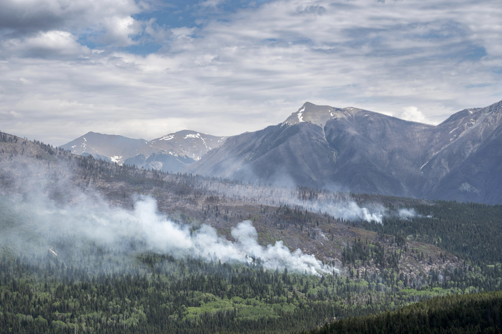 panorama of forest fire in kootenay