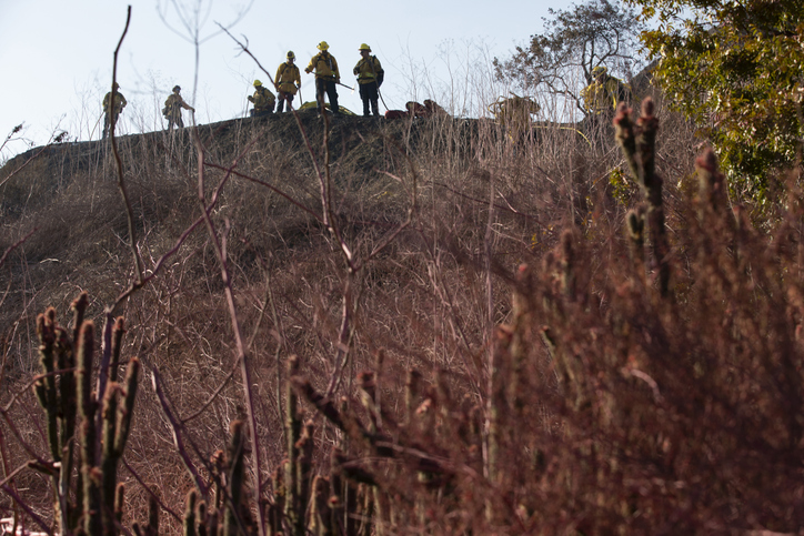 firefighters and fire retardant