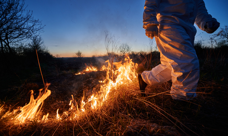 firefighter ecologist working in field with wildfire.