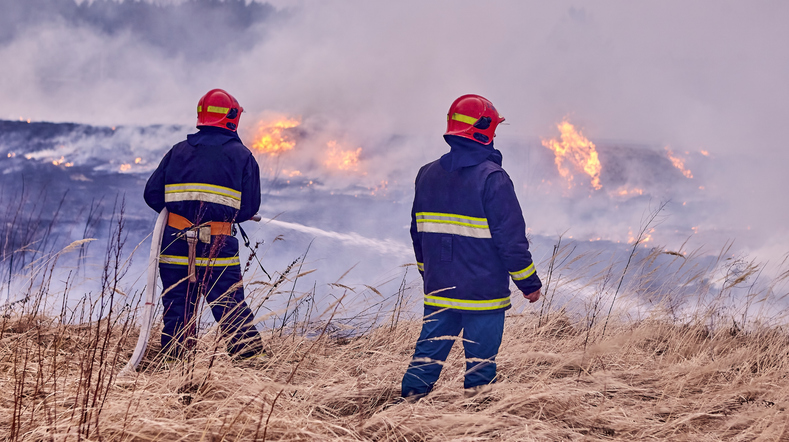 spring forest fires are raging. burning dry grass, reeds in the field. grass is on fire in the meadow.