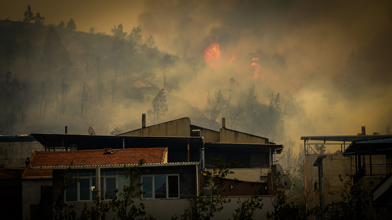 wildfire in the forest and in the residential area